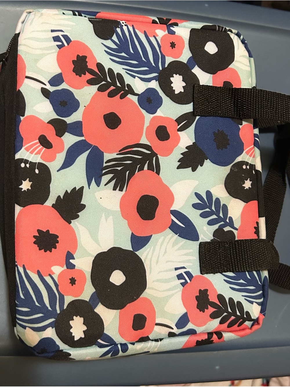 Insulated lunch bag